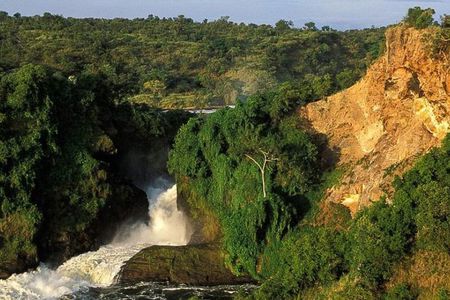 5-Day Murchison Falls, Budongo Chimps, Wildlife Big 5 Safari
