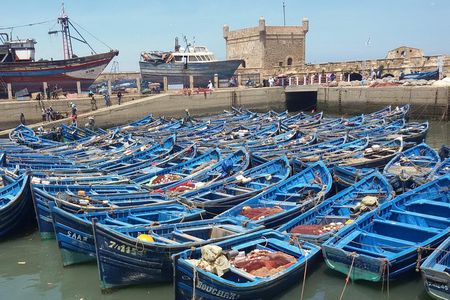 Private Day Trip from Marrakech to Essaouira