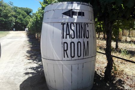 Visit Kirstenbosch, Groot Constantia & Steenberg Vineyards