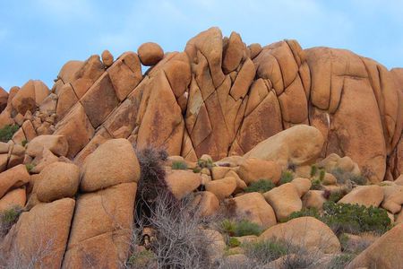 Joshua Tree National Park Scenic Tour