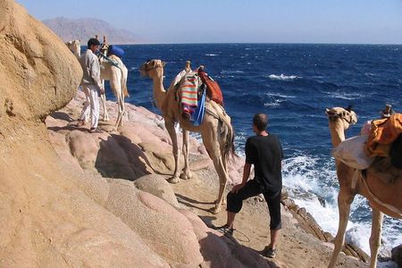 Camel Ridding marsa alam safari from Camel Yard