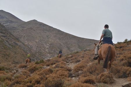 Horseback Ride in the Andes Mountain - Private tour from Santiago