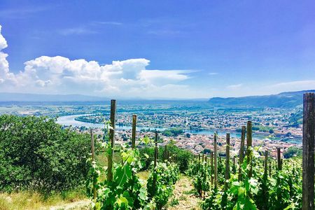 Northern Rhône Valley From Lyon Full day