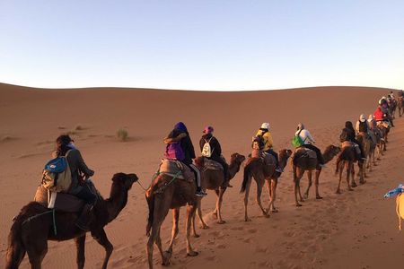2 Days Zagora Desert Eperience from Marrakech