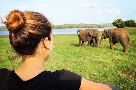 Udawalawe National Park Safari With Transfers From Colombo