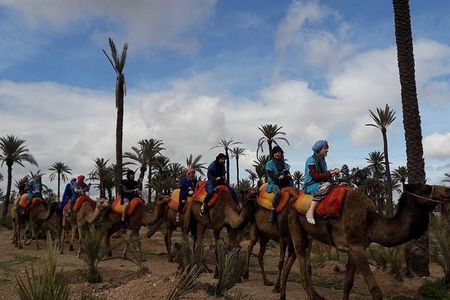  Experience Spa Hammam Massage and Camel tour