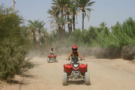 Marrakech Quad Bike ATV on the Palm Groves