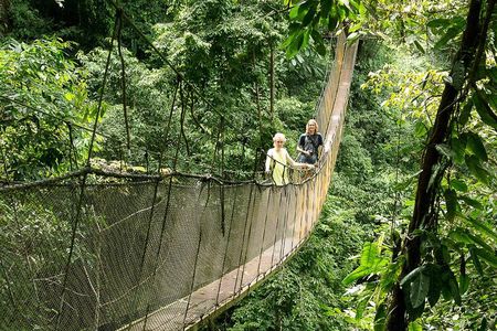 Rainmaker Park Hanging Bridges & Waterfalls Tour with Jade Tours 