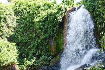 Full Paradise Lost Recreational Day