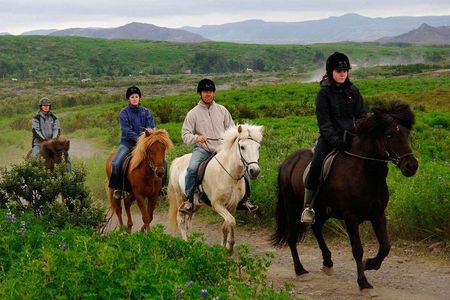 Agadir Taghazout Horse Riding 2 Hours