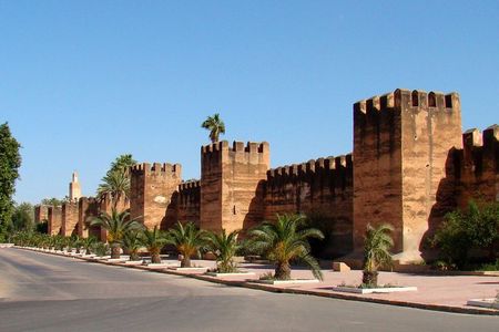 From Agadir Hotel or Port : Taroudant and Tiout Oasis