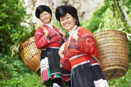4-Day Guilin Scenic,Yangshuo Countryside and Longji Rice Terraces Discovery