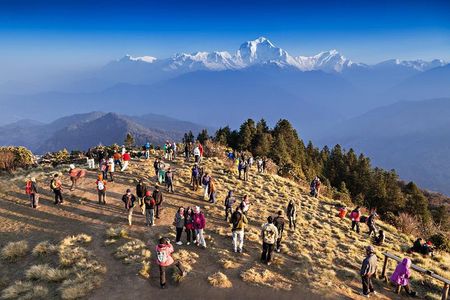 Ghorepani Poon Hill Sunrise Trek