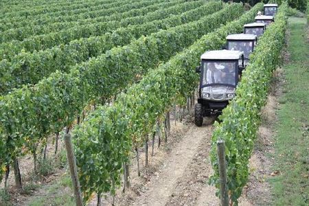 Vineyards tour with Electric Jeep with wine tasting