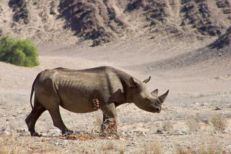 6 Days Sossusvlei, Swakopmund and Etosha National Park Lodging