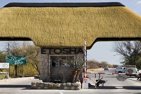 7 Days-Desert adventure, Swakopmund & Etosha Lodging Tour
