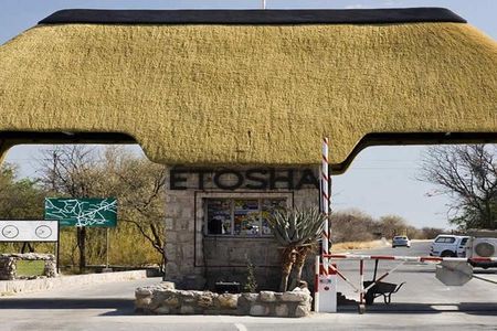 7 Day Namibia Desert, Swakopmund and Etosha National Park Camping