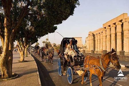 Luxor City Tour By Horse Carriage From West Bank