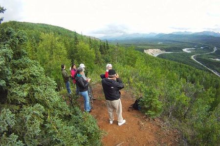 Denali 5 Hour Hiking Tour with Naturalist Guide