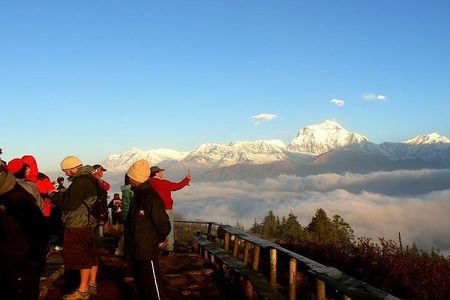 Ghorepani Poonhill Trek 5 Days from Pokhara