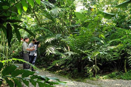 Nature Walk at Ecological Park and Butterfly Garden Danaus