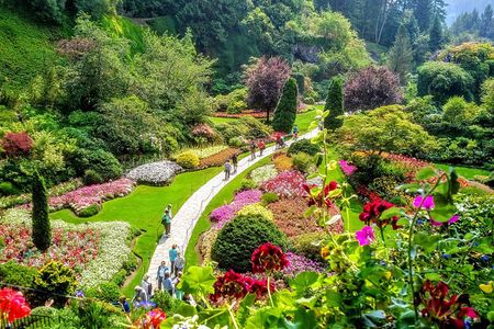 Ultimate Group Package Tour of Victoria