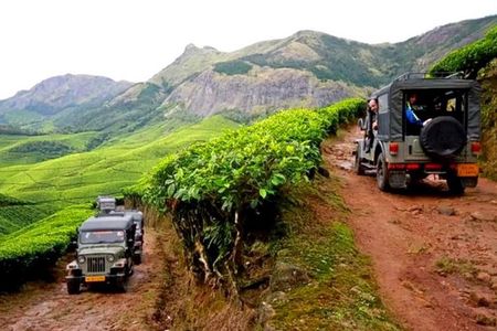 Kolukkumalai Jeep safari -tea trail and Orthodox Tea Factory visit -Private Tour