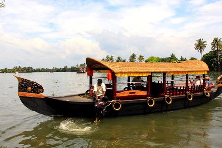 Kochi Private Tour: Kerala Backwater Shikara (Shaded Canoe Boat) Day Cruise