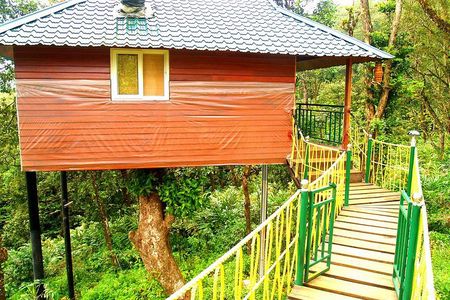Private 4-Day Tour of Munnar and Aleppey with Houseboat Cruise