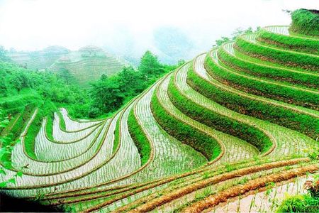 1-Day Longsheng Rice Terrace Tour from Guilin with Private Guide & Driver
