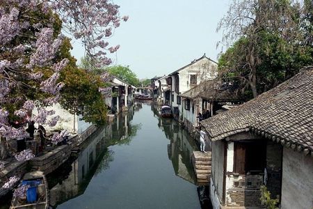 Wuzhen Water Town Day Tour from Shanghai