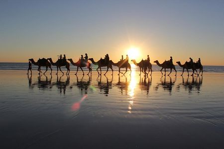  Sunset Camel Riding + barbecue B&B grill with abdo