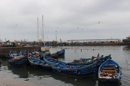 Private Day trip from Marrakech to Essaouira