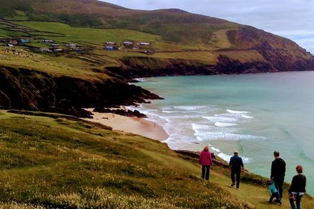 Private Tour: Dingle Peninsula from Dingle (not from cruise ship)