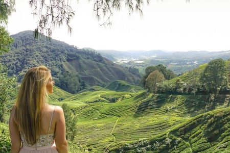 Full Day Tour to Cameron Highlands with Batu Caves Stopover