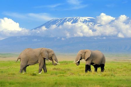 2 days group safari to Amboseli National park (Mon-Wed-Sat only)