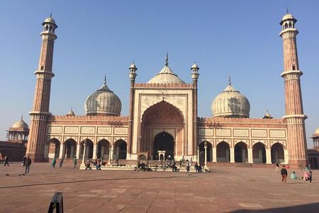 Old and New Delhi Heritage Tour All Incusive Cycle Rickshaw Ride