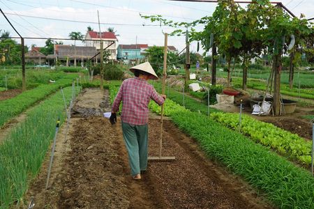 Hoi An cooking class