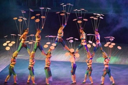 Beijing Night Tour Of Acrobatics Show Including Private Transfer