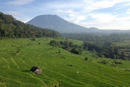 Tenganan Village Rice Field Trekking Tour