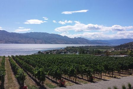 Tour and Taste Okanagan's Wine Country
