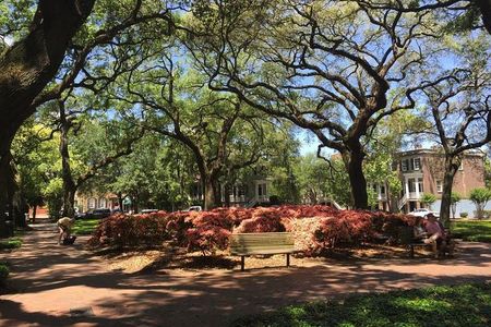 Savannah Historic District Walking Tour