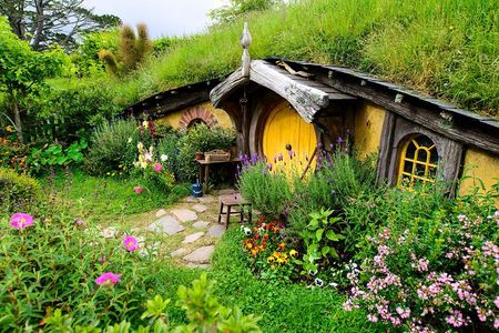 Hobbiton movie set tour and a lot more beautiful NZ sights