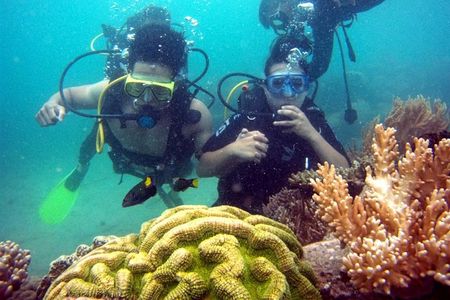 Private Scuba Diving Tour Nha Trang Included Lunch
