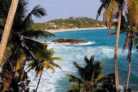 8 Day Private Sri Lanka Tour: Safari, Whale Watching & More