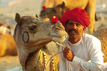 Exclusive: Guided Pushkar Day Trip from Jaipur