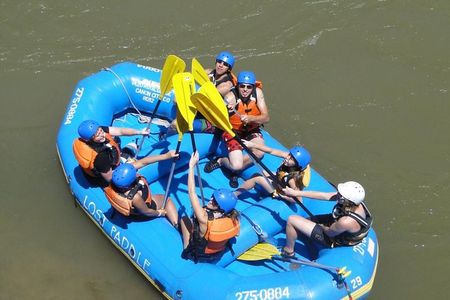 Bighorn Sheep Canyon Full-Day Experience