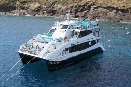 Molokini Snorkeling Adventure Aboard Calypso From Ma'alaea Harbor