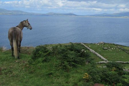 Luxury Photography Day Tour on Ring of Kerry and Skellig Ring - Fully Guided and Chauffeured