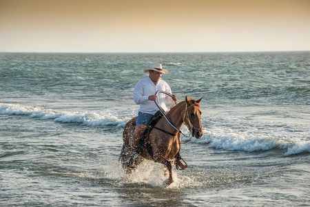 Horseback riding tour in a Colombian Paso fino horse